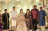 Director Gunasekhar Daughter Wedding Photos